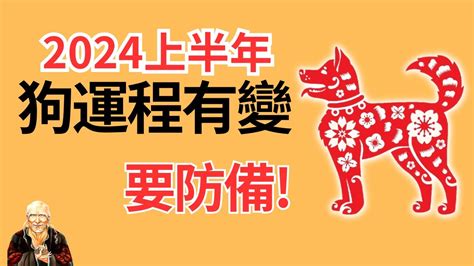 1982年屬狗 運勢|【2024狗年運程1982】2024狗年運程看過來！1982年。